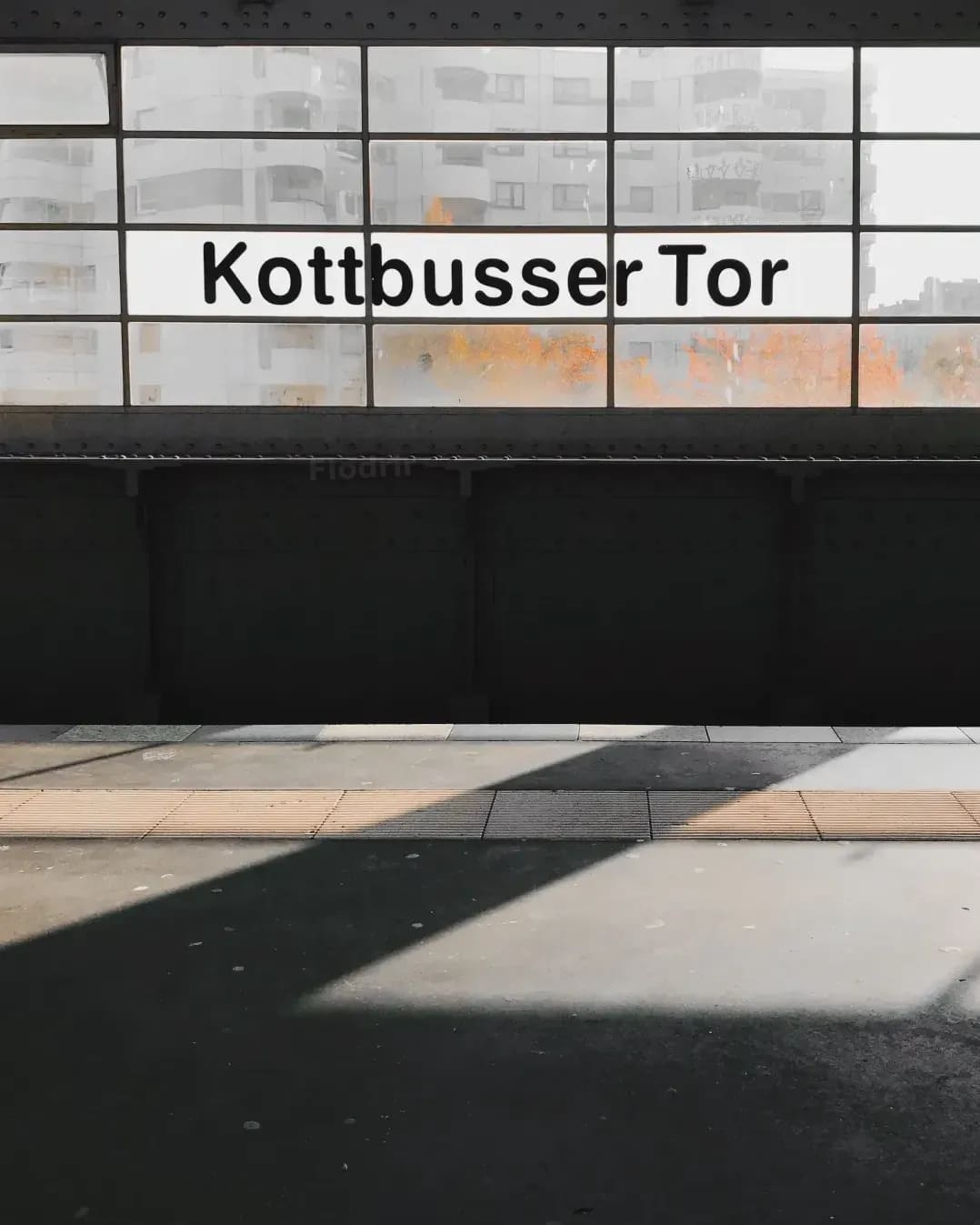 Flodrir